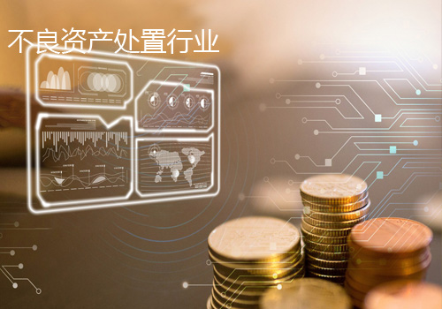 不良資產(chǎn)處置行業(yè)