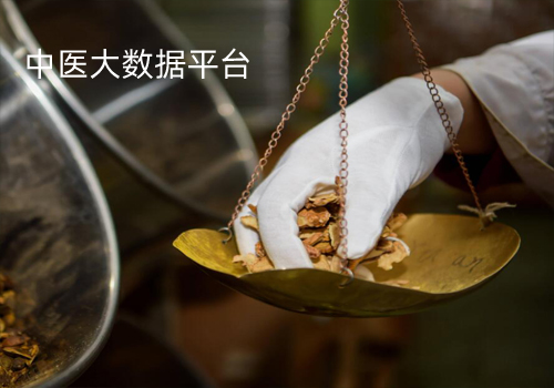 大數(shù)據(jù)-中藥集團