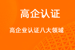 認(rèn)證高新技術(shù)企業(yè)的八大領(lǐng)域-網(wǎng)站制作