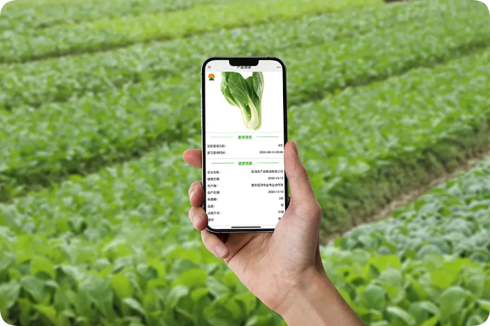 農(nóng)產(chǎn)品溯源知識(shí)你了解多少？他的意義究竟是什么？這篇文章告訴你全部答案-網(wǎng)站制作